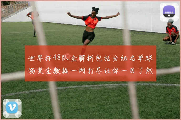 世界杯48队全解析包括分组名单球场奖金数据一网打尽让你一目了然
